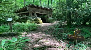 Explore A Little-Known Arboretum Near This Small West Virginia Mountain Town