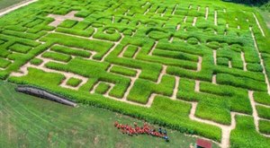 Get Lost In These 6 Awesome Corn Mazes Around Charlotte This Fall
