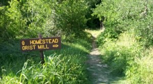 If There Are Only 5 Hikes You Ever Do In Austin, Make Them These