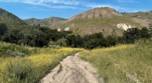 With A Creek And A Waterfall, The Little-Known Escondido Falls Trail In Southern California Is Unexpectedly Magical