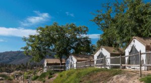 You’ll Find A Luxury Glampground At The Safari Park In Southern California, And It’s Ideal For Winter Snuggles And Relaxation