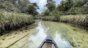 Take A Terrific Paddling Adventure At Chassahowitzka River Campground In Florida