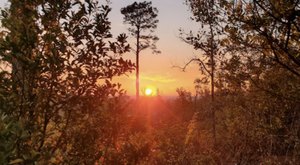 The Small State Park Where You Can View The Best Fall Foliage In Florida