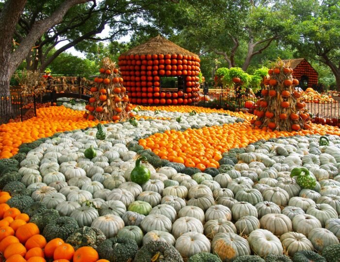 Seasonal