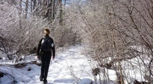 9 Picturesque Trails Around Washington DC That Are Perfect For Winter Hiking