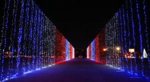 5 Christmas Light Displays Around Cincinnati That Are Pure Magic