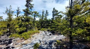 The Rugged And Remote Hiking Trail In West Virginia That Is Well-Worth The Effort