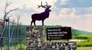 White Horse Hill Game Preserve In North Dakota Is So Hidden Most Locals Don’t Even Know About It