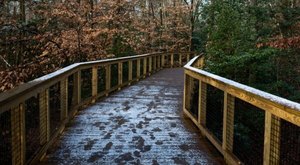 You Might Be Surprised To Hear The Predictions About South Carolina’s Wetter-Than-Normal Upcoming Winter