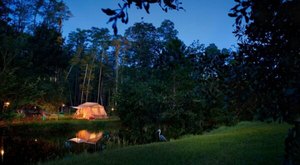 The Most Unique Campground In Florida That’s Pure Magic