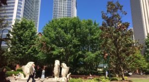 11 Ways To Have The Most Charlotte Day Ever