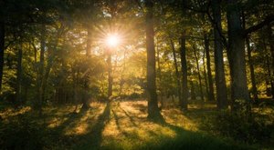 Before Word Gets Out, Visit Maryland’s Newest City Park