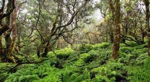 The Hawaii Preserve Is Worth Driving Across The State To Explore