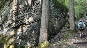 The Rugged And Remote Hiking Trail In Alabama That Is Well Worth The Effort