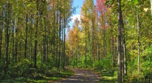 This Just Might Be The Most Beautiful Hike In All Of Columbus