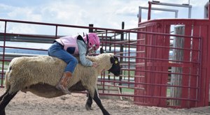 The 9 Best Fall Festivals In Wyoming For 2023 Will Put You In The Autumnal Spirit