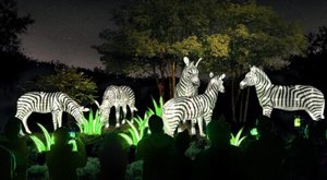 Walk Through A Winter Wonderland Of Lights This Season At The L.A. Zoo Lights In Southern California